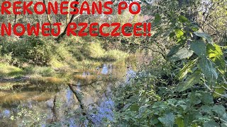 Rekonesans na nowej leśnej rzeczce [upl. by Lanos170]