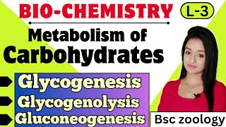 Biochemistry L3Metabolism of carbohydrates Glycogenesis Glycogenolysis gluconeogenesis [upl. by Ruthann748]