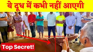 Productive Gir Cow Identifiction amp Devlopment  Gir Cow Training Camp [upl. by Wein]