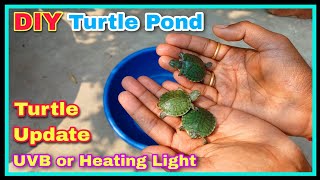 Finally मेरे Turtles का Update 🥰🥰  Turtal UVB and Heating Light Making  देसी DIY Turtle Pond [upl. by Eceerahs294]