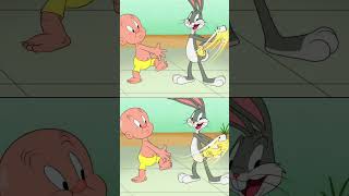 Looney Tunes en Latino shorts  Conejitos en la piscina 🐰🐰 WBKidsLatino​ [upl. by Woodhead]