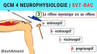 SVT Bac Neurophysiologie Réflexe myotatique  QCM 4 [upl. by Slocum672]