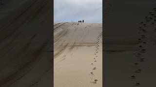 4WD Tag Along amp Passenger Tours Port Stephens 4wdtagalongtours beach 4wd beachtour sanddunes [upl. by Yenterb]