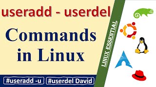 How to create and delete users in Linux  useradd  userdel [upl. by Eanyl]