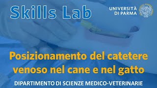 Posizionamento del catetere venoso nel cane e nel gatto  Skills Lab UNIPR [upl. by Pantia164]