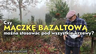 Pod jakie rośliny można zastosować mączkę bazaltową [upl. by Ahsiuqet810]