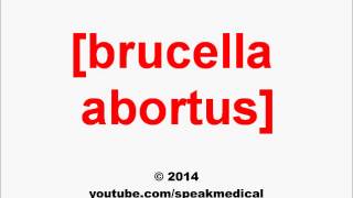 Pronounce Brucella abortus  SpeakMedical [upl. by Sessilu]