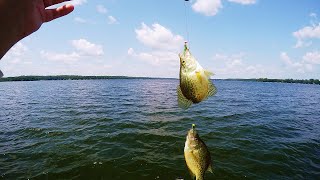 My FAVORITE Crappie Rig Setup How to Tie Double Jig Crappie Rig [upl. by Eibocaj]