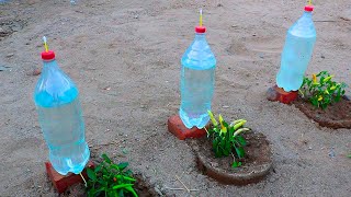 Como hacer Riego por Goteo con botellas de plastico para 15 dias de goteo lento [upl. by Luht]