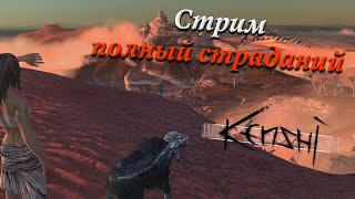 Бесконечные страдания в Kenshi  Стрим с Gazzkul [upl. by Eisor932]