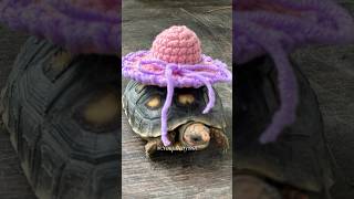 🤠🧶Mini Sombrero Tutorial crochetprojects crochettutorial simplicity888 crochetpatterns diy [upl. by Assirahc]