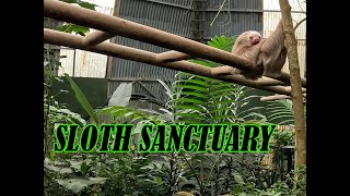 SELVATURA PARK SLOTH SANCTUARY [upl. by Ecydnak181]