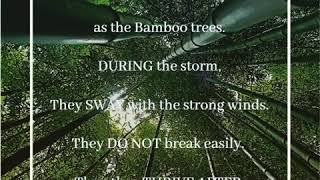 PHILIPPINES BE LIKE THE BAMBOO TREE [upl. by Eenwat]