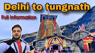 Delhi To Tungnath full Information 2024  Tungnath trek  chandrashila trek [upl. by Telrats691]