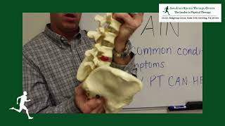 Causes of SI Joint Dysfunction  Physical Therapy Sterling VA [upl. by Kenleigh]