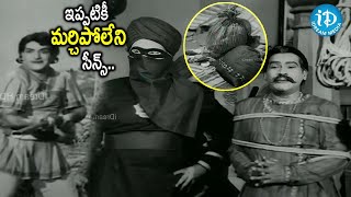 Gandikota Rahasyam Movie NTR Best Fight scenes  iDream Hyderabad [upl. by Bartie]