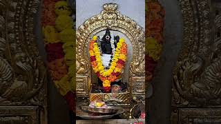 muruga murugan thiruthanimurugantemple திருத்தணி palanimurugan palanimurugan om swami vel [upl. by Neelac]