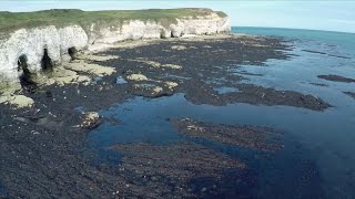 The 4 coastal processes of erosion with timeforgeographycouk [upl. by Oralee460]