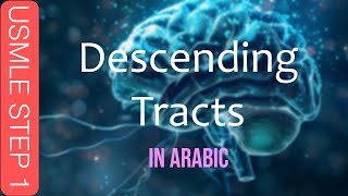 USMLE Step 1  Descending Tracts in ARABIC [upl. by Eenwahs]