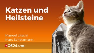 Katzenliebe und Fürsorge Die Rolle von Heilsteinen und artgerechter Fütterung  QS24 [upl. by Spark]