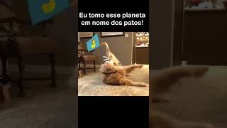 Patinho faz cachorrinho estudar animaisengraçados shortsengracados memes [upl. by Schwing462]