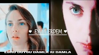 Eylül Erdem ŞANIMA İNANMA [upl. by Zenas162]