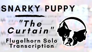 Snarky Puppy  The Curtain Flugelhorn Solo Transcription [upl. by Morissa]