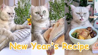 Funny Chef Cat Makes MaLaTang amp Fried Fish  Chinese Food Recipes  Cat Cooking Food Compilation [upl. by Althee]