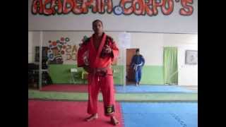 Curso Completo de Jiu Jitsu para iniciantes parte 735 [upl. by Ihculo475]