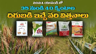 Top 5 Hybrid Paddy Seeds Telugu  Paddy Seeds Best Quality 2024  Paddy Cultivation  Agriculture [upl. by Lipscomb]