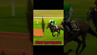 GoodLuck sottovento PharLap apology horseedit Part2 [upl. by Arri]