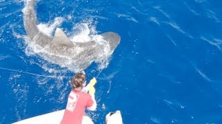 Islamorada Shark Fishing [upl. by Ykcaj]