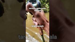 casting hampala mancing fishing mancingmania angler ikanhampala shorts shortvideo [upl. by David531]