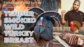 Smoked Wild Turkey Breast  Pit Boss Smoker [upl. by Brenza]