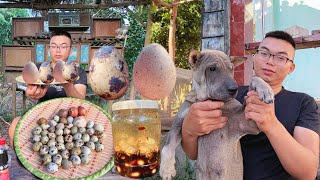 Minh Tuyen prepares and cooks quail eggs soaked in soy sauce  enjoy at the farm [upl. by Rother]