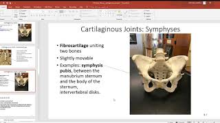 116 Joints fibrous cartilaginous synovial [upl. by Torry]