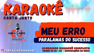 Meu Erro Paralamas do Sucesso Karaoke cantajuntokaraoke [upl. by Gilroy]