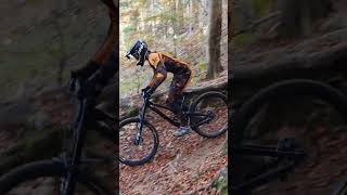 Todtnau Downhill canyon downhillmountainbike mountainbikeing downhillmtb mtblife [upl. by Wohlen504]