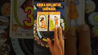 Angka HOKI untuk Shio NAGA bulan November tarotreading tarot ramaltarot tarot2024 [upl. by Antoinetta]