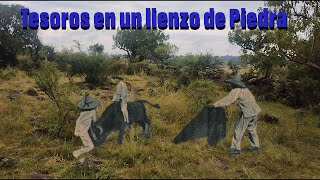 ENCONTRE BUENOS TESOROS EN ESTE LIENZO DE PIEDRA [upl. by Ised42]