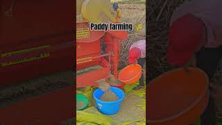 Paddy farming 🌾🚜 paddyplanting paddy music remix shorts diwali diwalispecial beats bass [upl. by Niel]