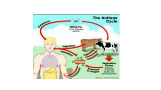 Zoonotic Diseases Video No 108 [upl. by Morganne179]