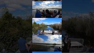 Airboat Ride with Everglades Safari Park  Everglades National Park Florida [upl. by Enirehtakyram]