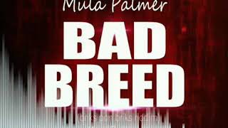 MULA PALMER BAD BREED BRIKS PON BRIKS RIDDIM [upl. by Noslien]