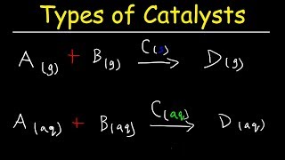 Homogeneous vs Heterogeneous Catalysts  Basic Introduction [upl. by Jdavie348]