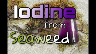 Iodine From Seaweed [upl. by Ardnuek]