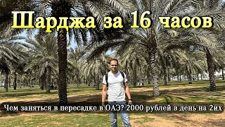 Чем заняться в пересадке в Эмиратах Обзор Шарджа за 16 часов [upl. by Heigho]