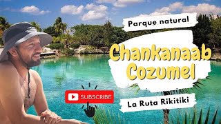 Parque natural Chankanaab Cozumel  ¿Qué hacer y cuánto cuesta 🌴 [upl. by Airegin]