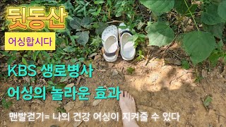 106맨발걷기효과 어싱으로인생을 바꾼다 KBS생로병사 놀라운데이터 더보기 아래링크에서 확인하세요 [upl. by Rawden]