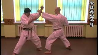 Heian Nidan kata effective bunkai 4 [upl. by Diandra]